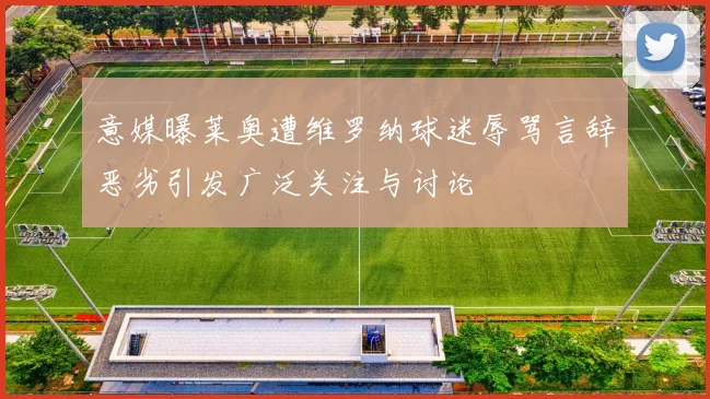 意媒曝莱奥遭维罗纳球迷辱骂言辞恶劣引发广泛关注与讨论