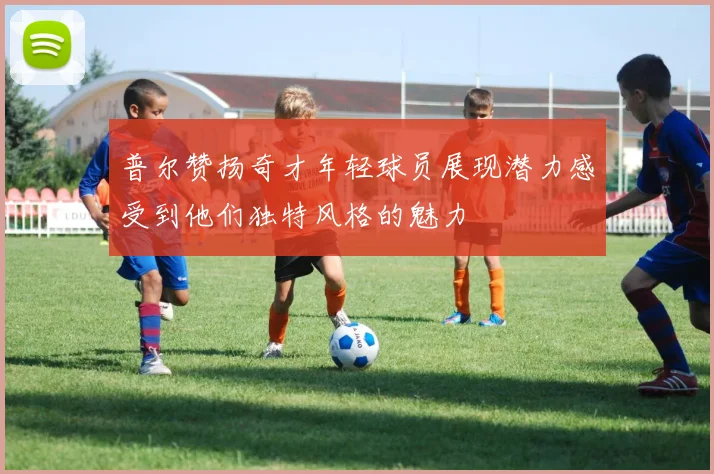 普尔赞扬奇才年轻球员展现潜力感受到他们独特风格的魅力