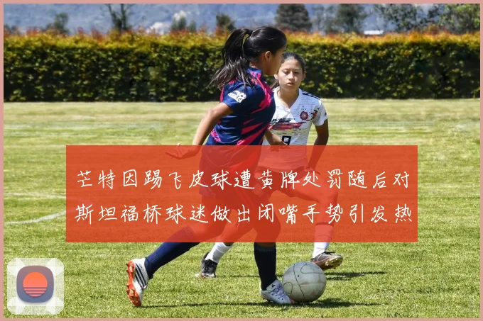 芒特因踢飞皮球遭黄牌处罚随后对斯坦福桥球迷做出闭嘴手势引发热议