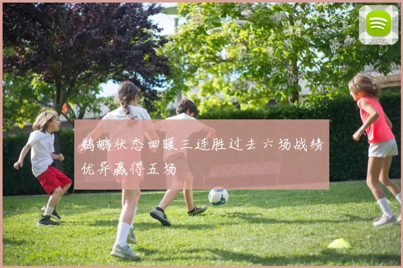 鹈鹕状态回暖三连胜过去六场战绩优异赢得五场